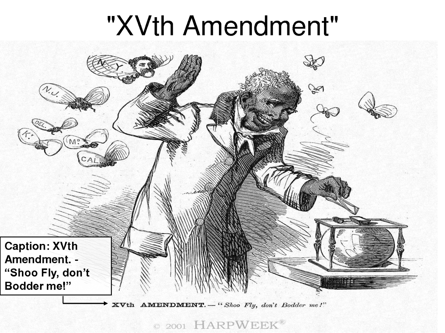 14th Amendment writings