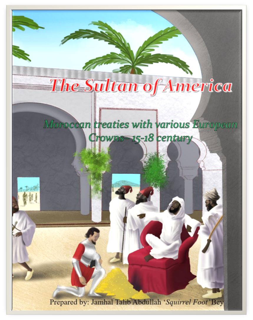 The Sultan of America PDF